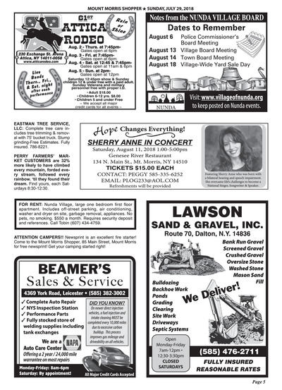 Page 5