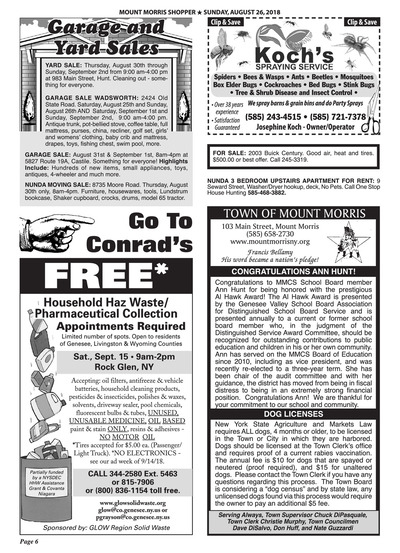 Page 6