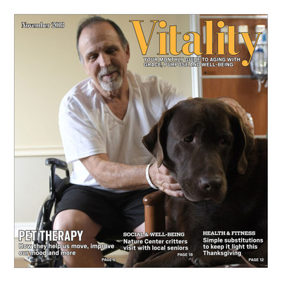 Macomb Daily - Special Sections - Vitality - November 2018