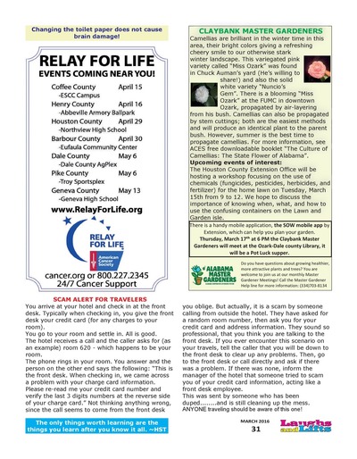 Page 31
