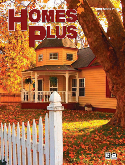 Homes Plus - November 2020