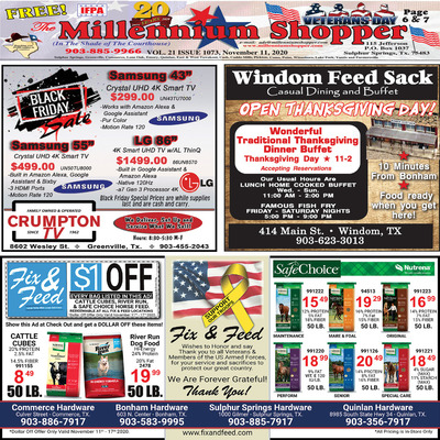 Millennium Shopper - Nov 11, 2020