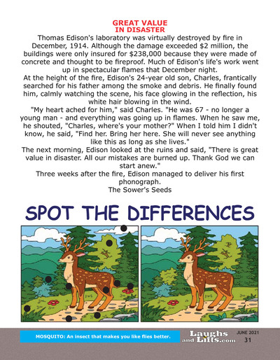 Page 31