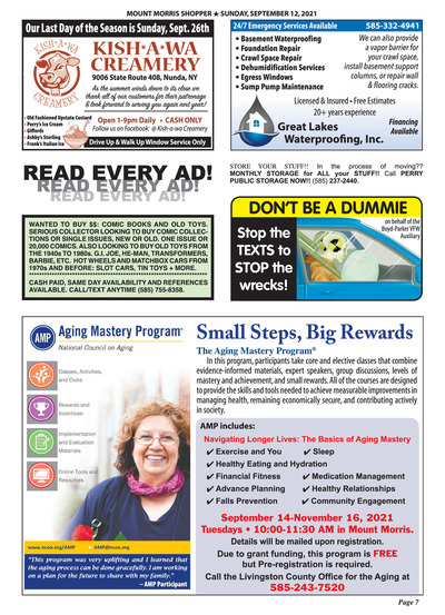 Page 7