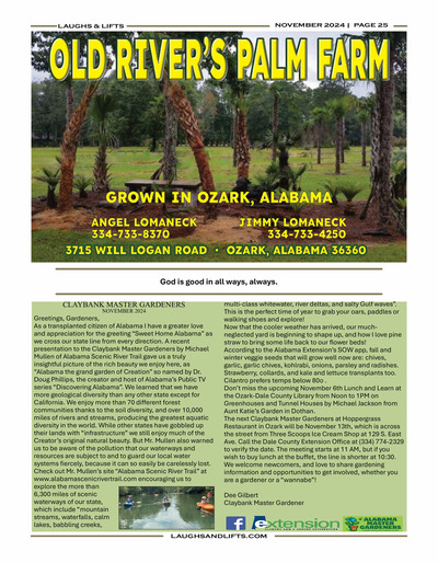 Page 25