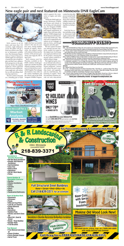 Page 6