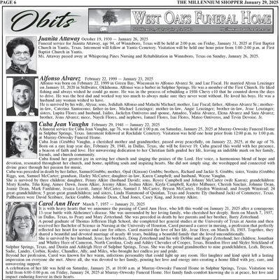 Page 6