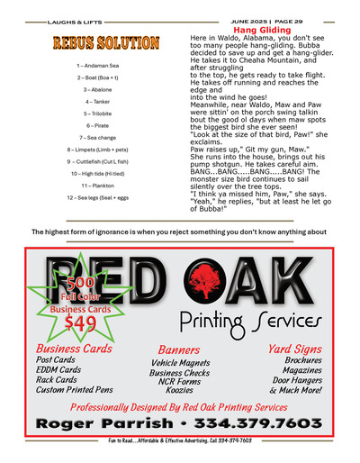 Page 29