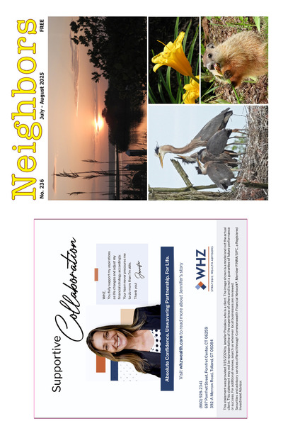 Neighbors Paper - July 2025