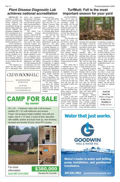Page 10