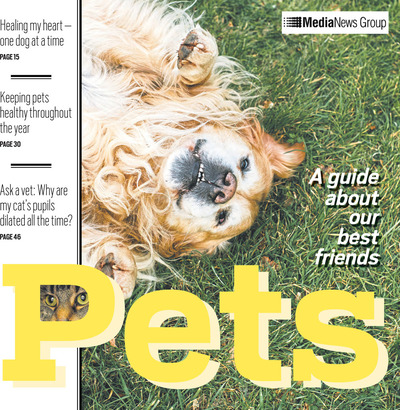 Oakland Press - Special Sections - Pets - September 2025