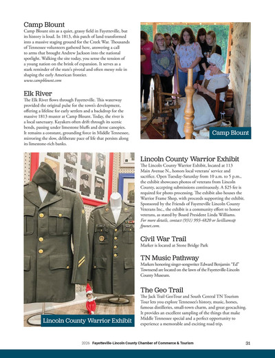 Page 31