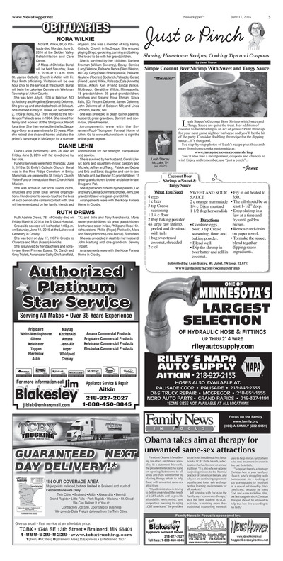 Page 5