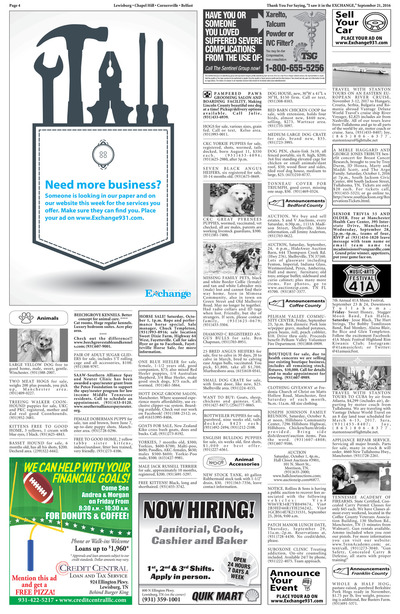 Page 4