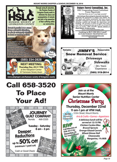Page 31