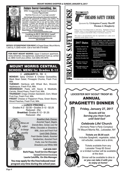 Page 8