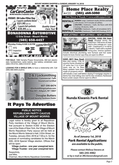 Page 3